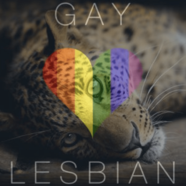 gay lesbian ritual 1